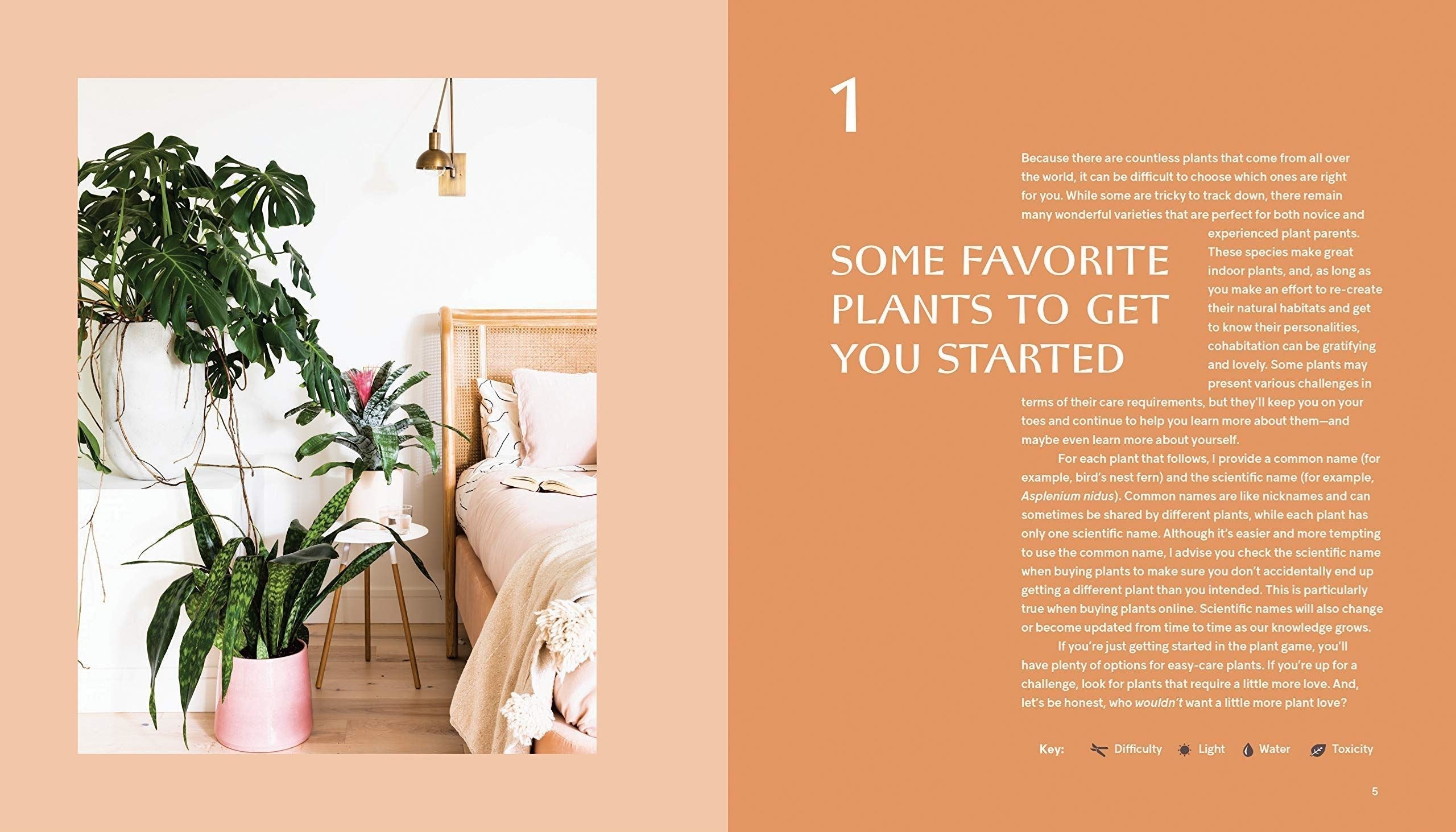 House Planted Decor Book* - B058190 - Uneeka